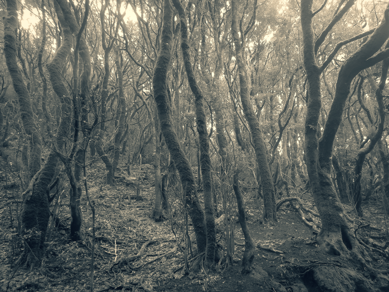 photography anaga 0